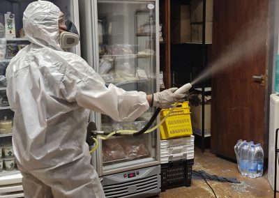 Fumigación Local - Vision Ambiental