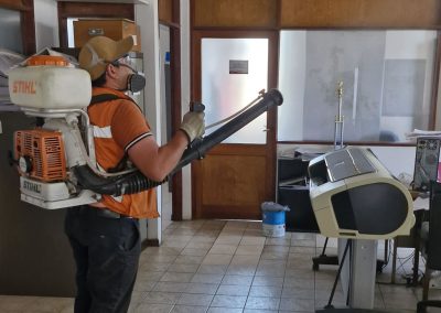 Fumigación en Empresa - Vision Ambiental